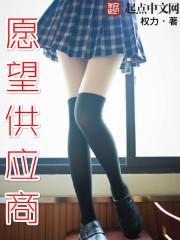 愿望供应商