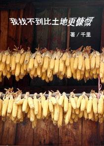 种点玉米，我想不出有什么比土地更慷慨的