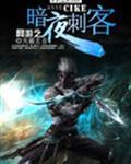 网游之暗夜刺客