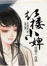 [红楼梦]红楼小婢