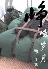 峥嵘岁月