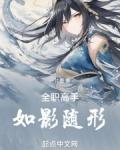 全职高手：如影随形
